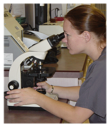 Jennie examines a sample in the microscope