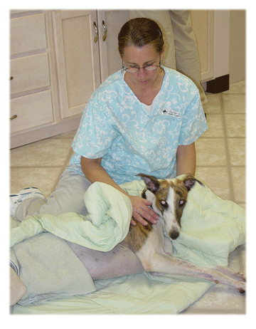 Tina monitors a patient during anesthetic recovery