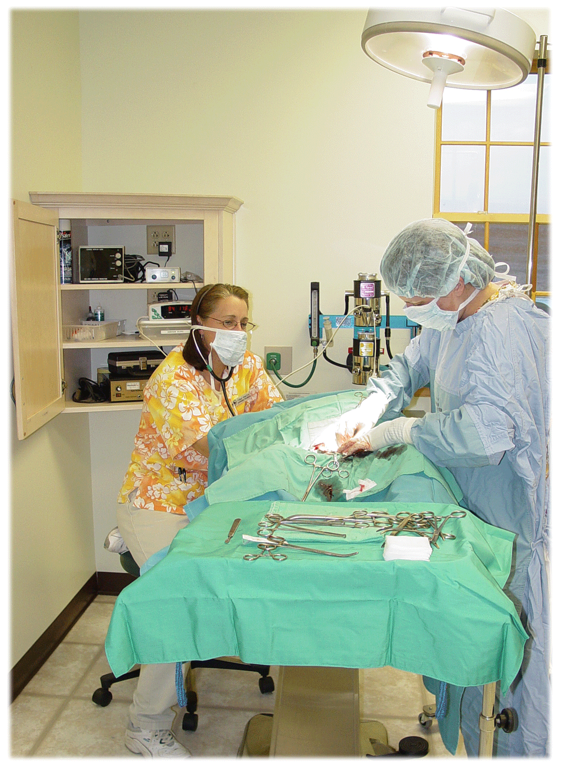 A doctor performing surgery while a technician monitors anesthesia